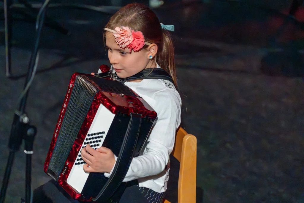 Tasten- und Balginstrumente